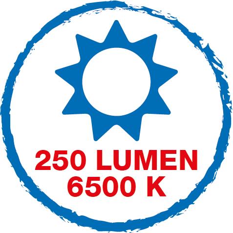 Szczypce do ściągania izolacji No. 5 Solar Pro zestaw LED