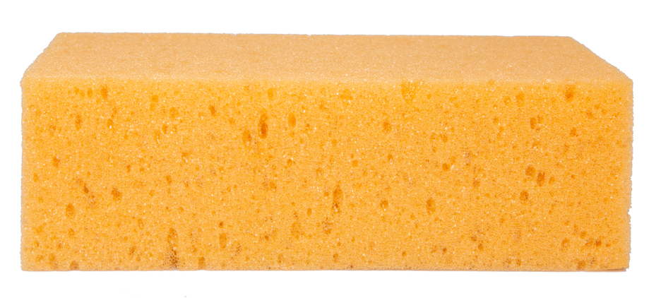 Gąbka